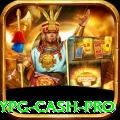 baypg Cash Pro